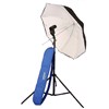 Lastolite Umbrella Kit 80cm (34&Quot;) With Stand And 2422 Tilthead Shoe Lock 