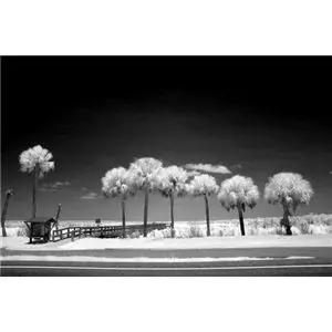 Ir-Cut Hwb830 67 Marumi