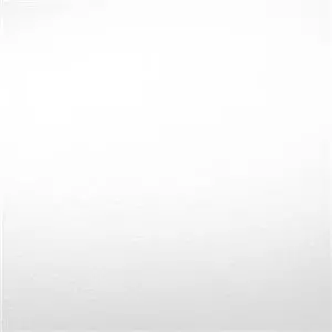 Savage Vinyl background Pure white 2.7x6m
