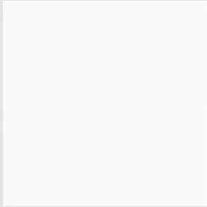Savage Paper  Background  2.7x11 Super White