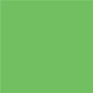 Savage Paper  Background  2.7x11 Tech Green (Chroma)