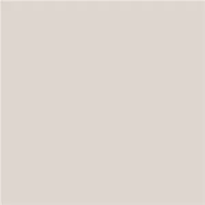 Savage Paper  Background  2.7x11 Tv Gray