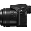 מצלמה דמוי SLR פנסוניק Panasonic Lumix DMC-FZ2500