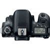 מצלמה Dslr (ריפלקס) קנון Canon Eos 77d Body