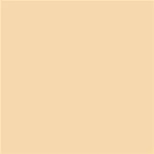 Savage Paper background Beige 1.35x11m (חצי אורך)