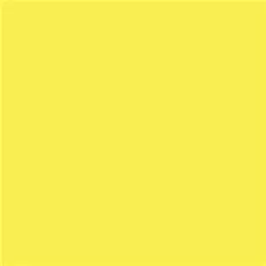 Savage Paper background Canary 1.35x11m (חצי אורך)