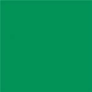 Savage Paper background Holly 1.35x11m (חצי אורך)