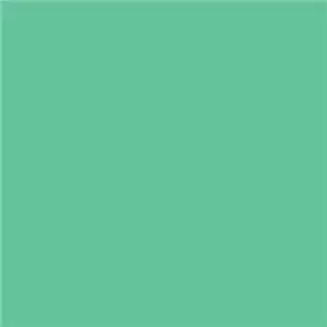 Savage Paper background Mint Green 1.35x11m (חצי אורך)