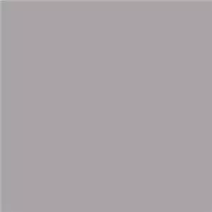 Savage Paper background SmokeGray134.62X91.44