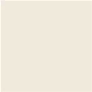 Savage Paper background Studio Gray 1.35x11m (חצי אורך)
