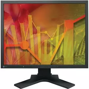 Eizo Flexscan S2133