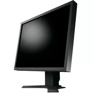 Eizo Flexscan S2133