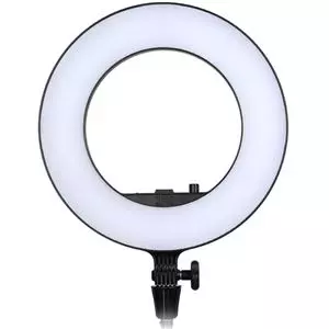 תאורת וידאו תעשייתית גודוקס Godox Beauty Ring Led Lr180