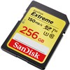 SanDisk SD256 Extreme 150mbs