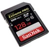SANDISK SD128G EXT.Pro 300