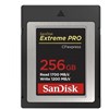 Sandisk CFexpress 256G 1200 