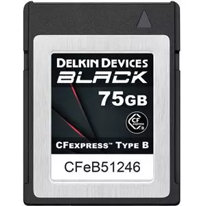 DELKIN CFexpress 75GB Type B