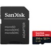 SANDISK SD256micro 200mbs +Adapter 