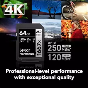 LEXAR SD64 250mbs V60 X1667