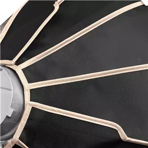 ZHIYUN LANTERN SOFTBOX 65D