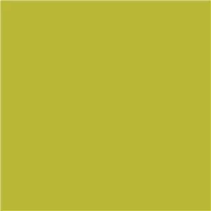 SELENS Background Paper 27X10 Mustard Green (101)