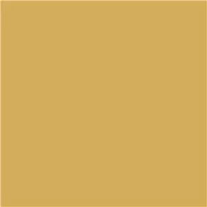 SELENS Background Paper 27X10 Light Yellow (18)