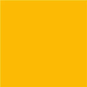 SELENS Background Paper 27X10 Forsythia Yellow (14)