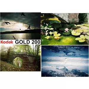 Kodak GOLD 200 Color Negative Film (35mm Roll Film, 36 Exposures)